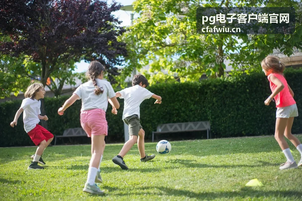 PG电子客户端官网自动更新与手动安装方式对比图